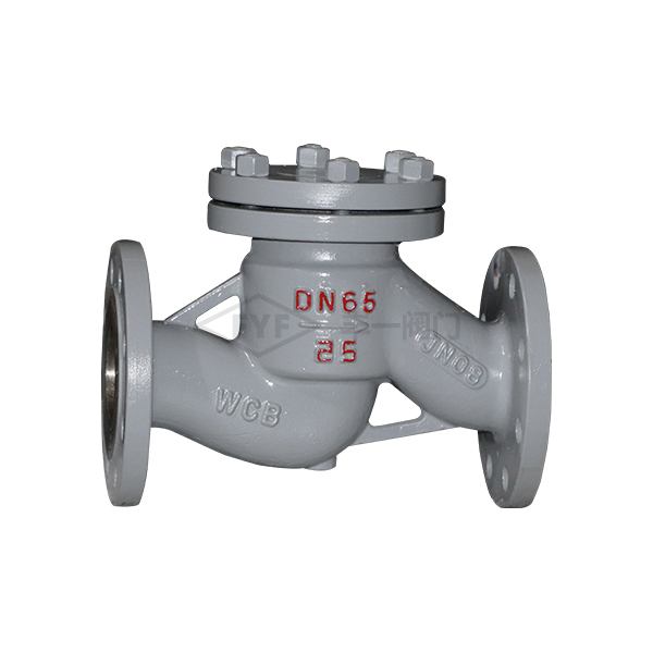 國標(biāo)升降式止回閥